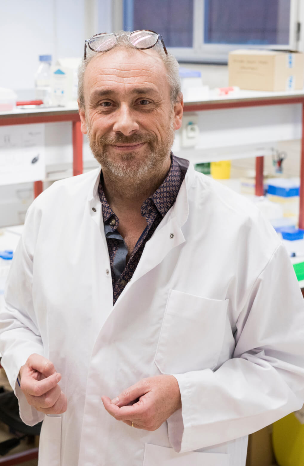 Portrait picture of Jean-Claude Dujardin